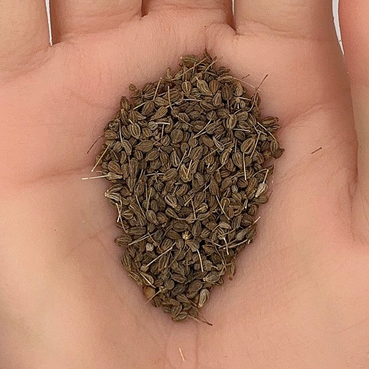 Anise Seeds, Herb Seeds, Aromatic, Medicinal, Culinary, Non-GMO, Easy to Grow for Planting Indoor & Outdoor Gardening