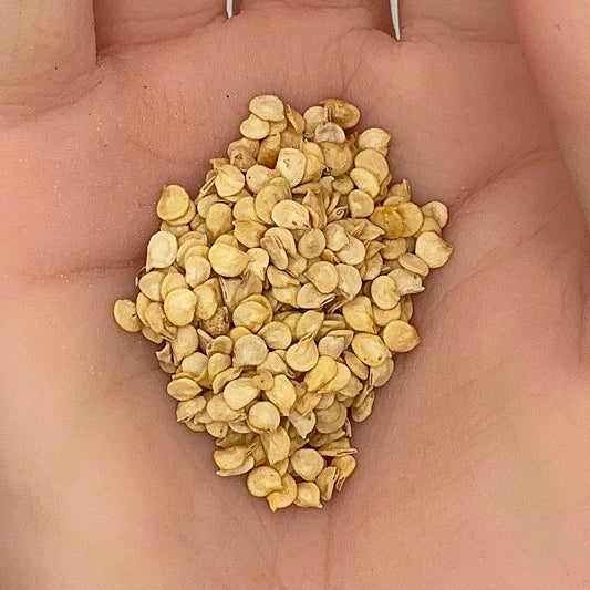 Cayenne Thin Pepper Seeds, Red Hot, Spicy & Productive, Drying Variety, Non-GMO, Fast Growing, Easy to Grow for Planting Indoor & Outdoor Gardening