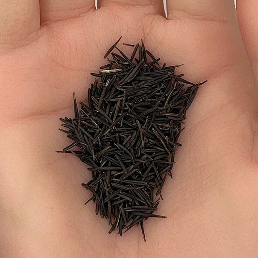 Chervil Curled Seeds, French Parsley, Herb, Fine Leaves, Mild Flavor, Non-GMO, Easy to Grow for Planting Indoor & Outdoor Gardening