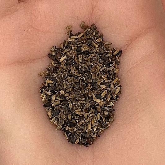 Chicory Seeds, Italian Heirloom, Perennial Herb, Drought Tolerant, Non-GMO, Easy to Grow for Planting Indoor & Outdoor Gardening