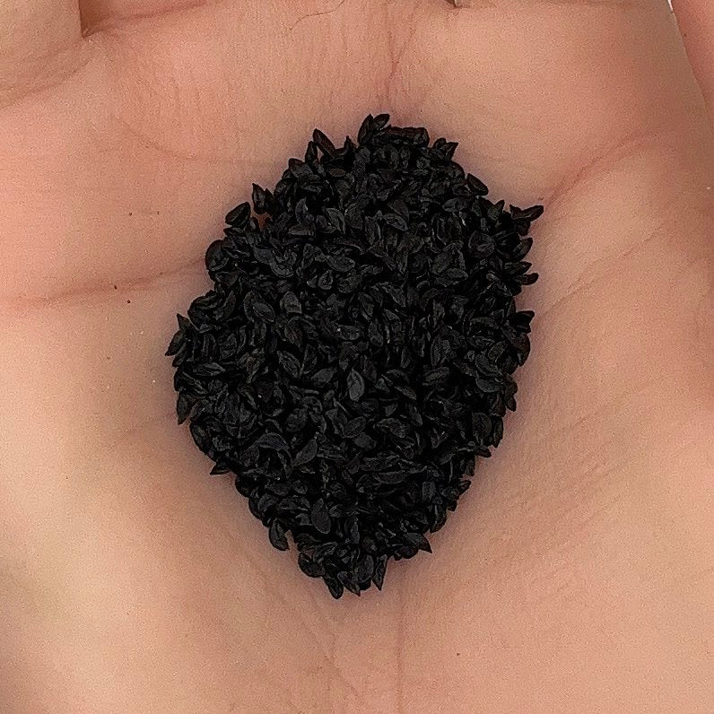 Chives Seeds, Garlic Chives, Edible Herb, High Yield, Non-GMO, Easy to Grow for Planting Indoor & Outdoor Gardening