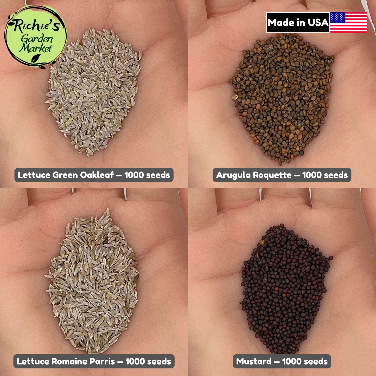 Salad Greens Starter Set of 4000+ Seeds, Arugula, Oakleaf, Romaine, Mustard, Non-GMO, Fast Growing, Easy to Grow for Planting Indoor & Outdoor Gardening