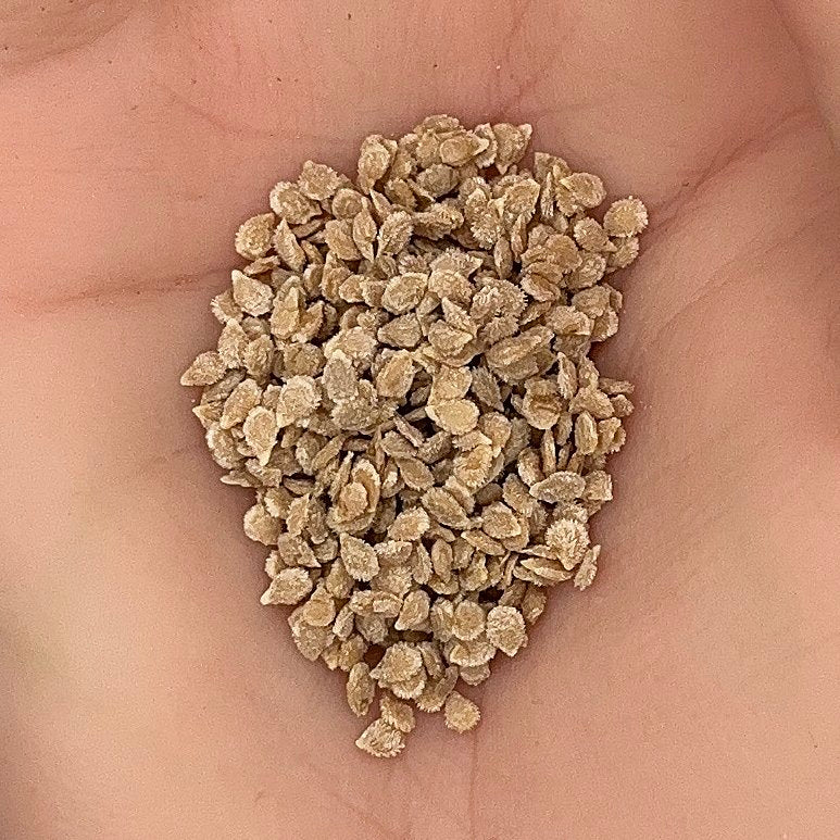 Tomato Large Red Cherry Seeds, Heirloom, Juicy & Sweet, Non-GMO, Fast Growing, Easy to Grow for Planting Indoor & Outdoor Gardening