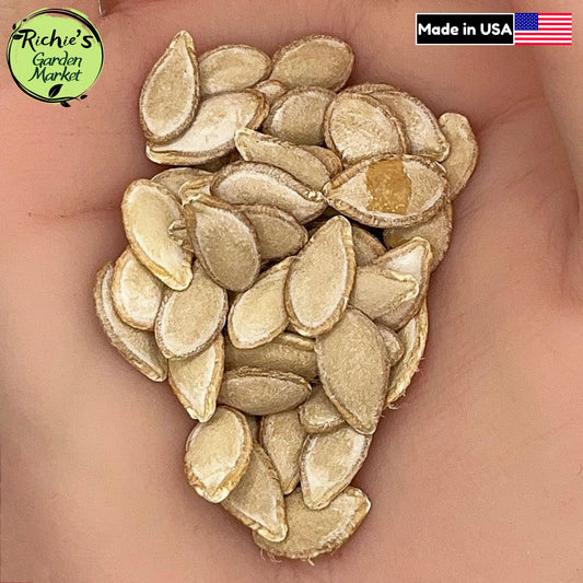Butternut Squash Seeds – Non-GMO, Sweet & Nutty