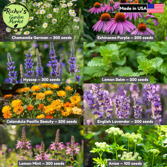 8 Medicinal Herb Collection 1800+ Seeds, Non-GMO, Fast Growing, Easy to Grow for Planting Indoor & Outdoor Gardening