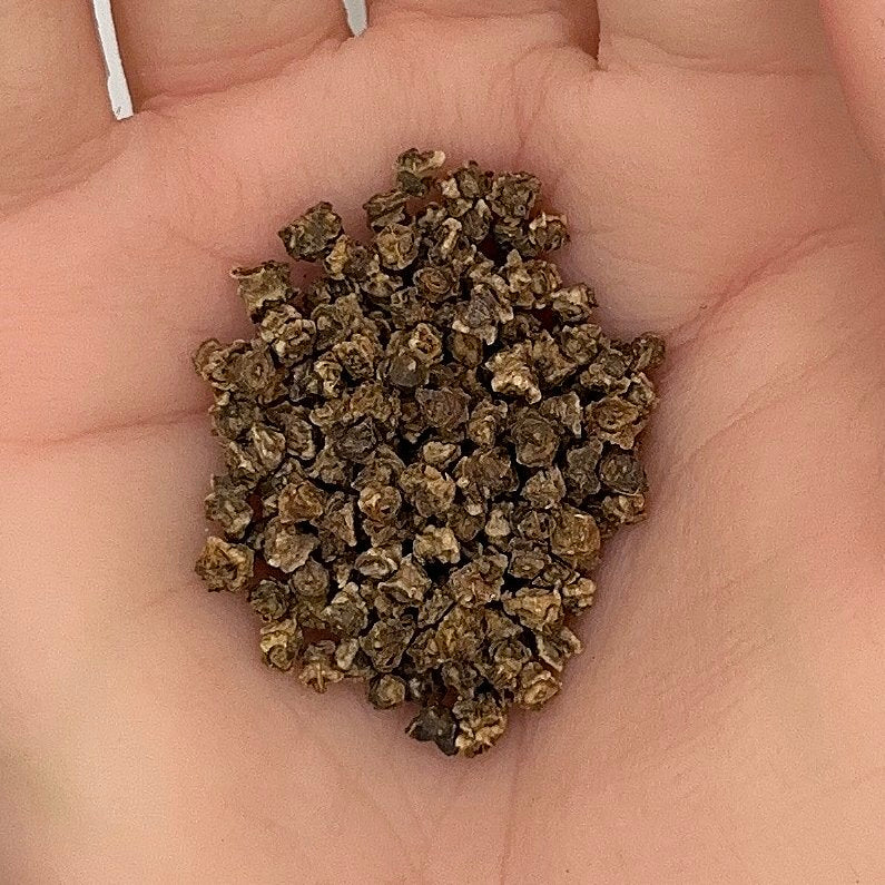 Beet Detroit Dark Red Seeds, Sweet Roots, Nutritious, Non-GMO, Fast Growing, Easy to Grow for Planting Indoor & Outdoor Gardening