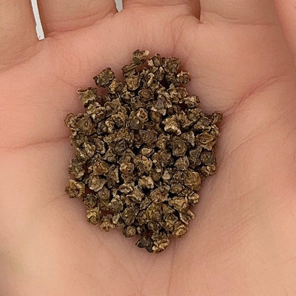 Beet Detroit Dark Red Seeds, Sweet Roots, Nutritious, Non-GMO, Fast Growing, Easy to Grow for Planting Indoor & Outdoor Gardening