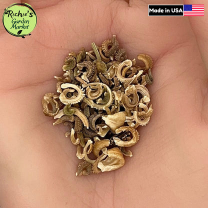 Pacific Beauty Calendula Seeds – Non-GMO, Bright Blooms