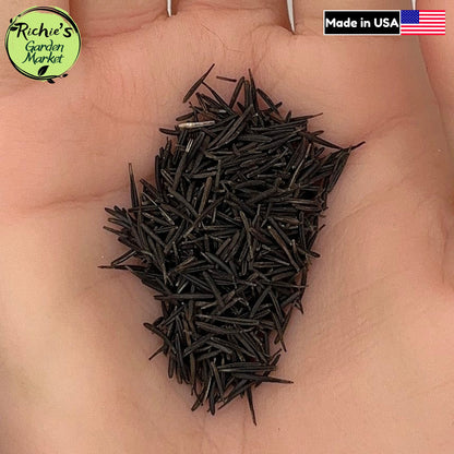 Curled Chervil (French Parsley) Seeds – Non-GMO, Mild Flavor Herb