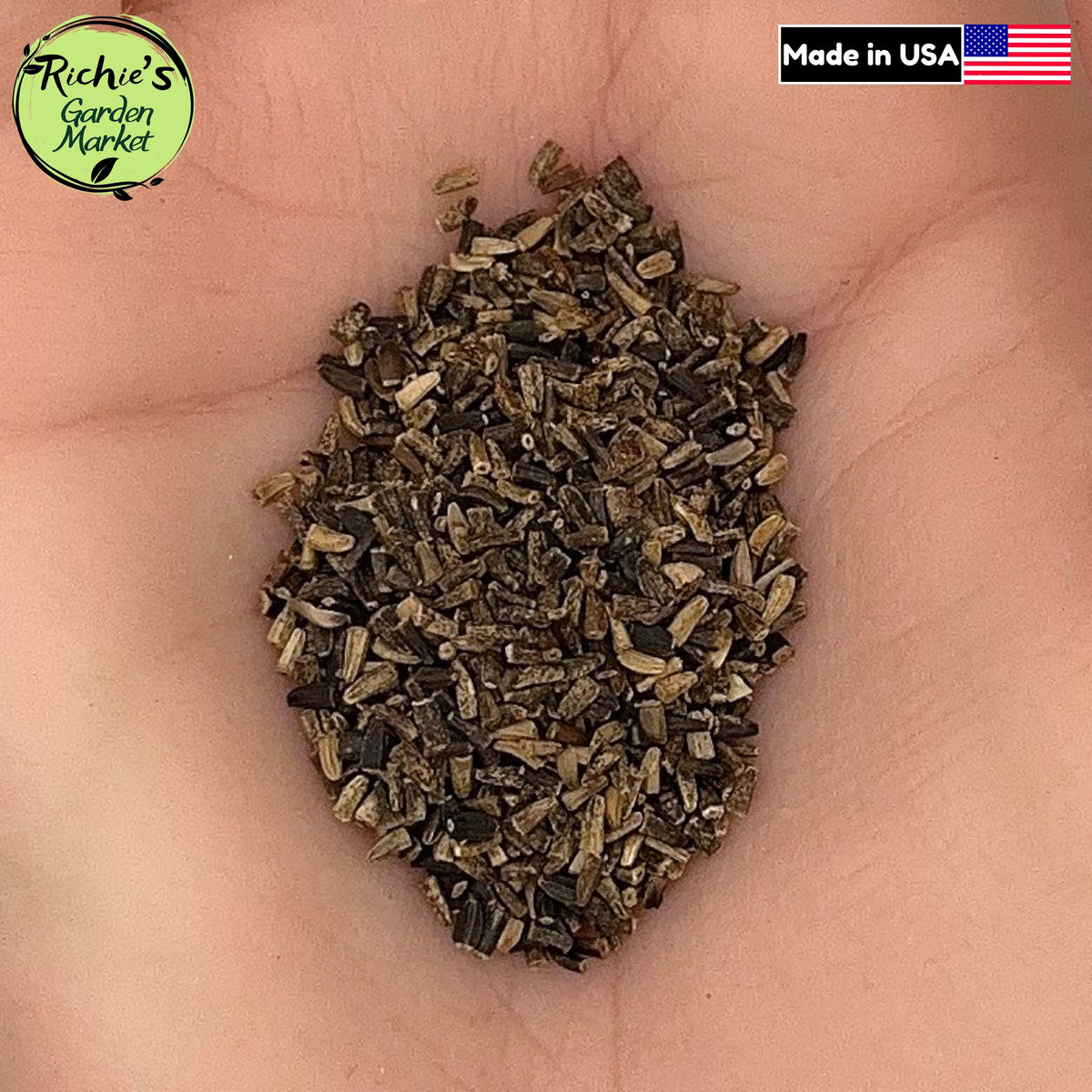 Italian Chicory Seeds – Non-GMO, Drought-Tolerant Herb