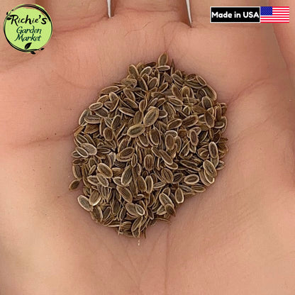 Bouquet Dill Seeds – Non-GMO, Aromatic & High Yield