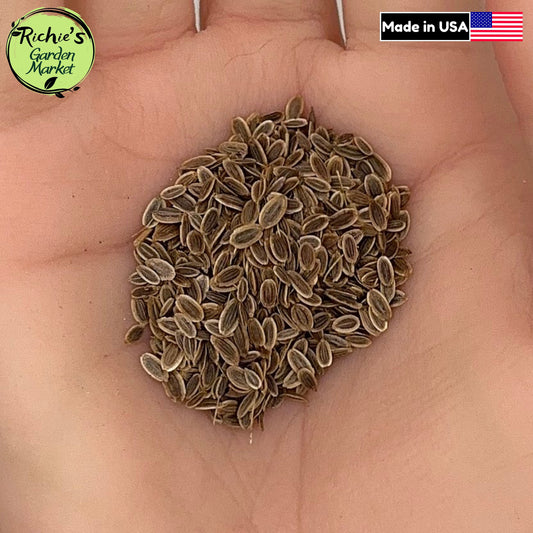 Bouquet Dill Seeds – Non-GMO, Aromatic & High Yield