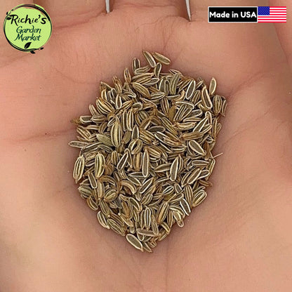 Florence Fennel Seeds – Non-GMO, Aromatic Culinary Variety
