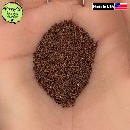 Sweet Marjoram Seeds – Non-GMO, Culinary Herb