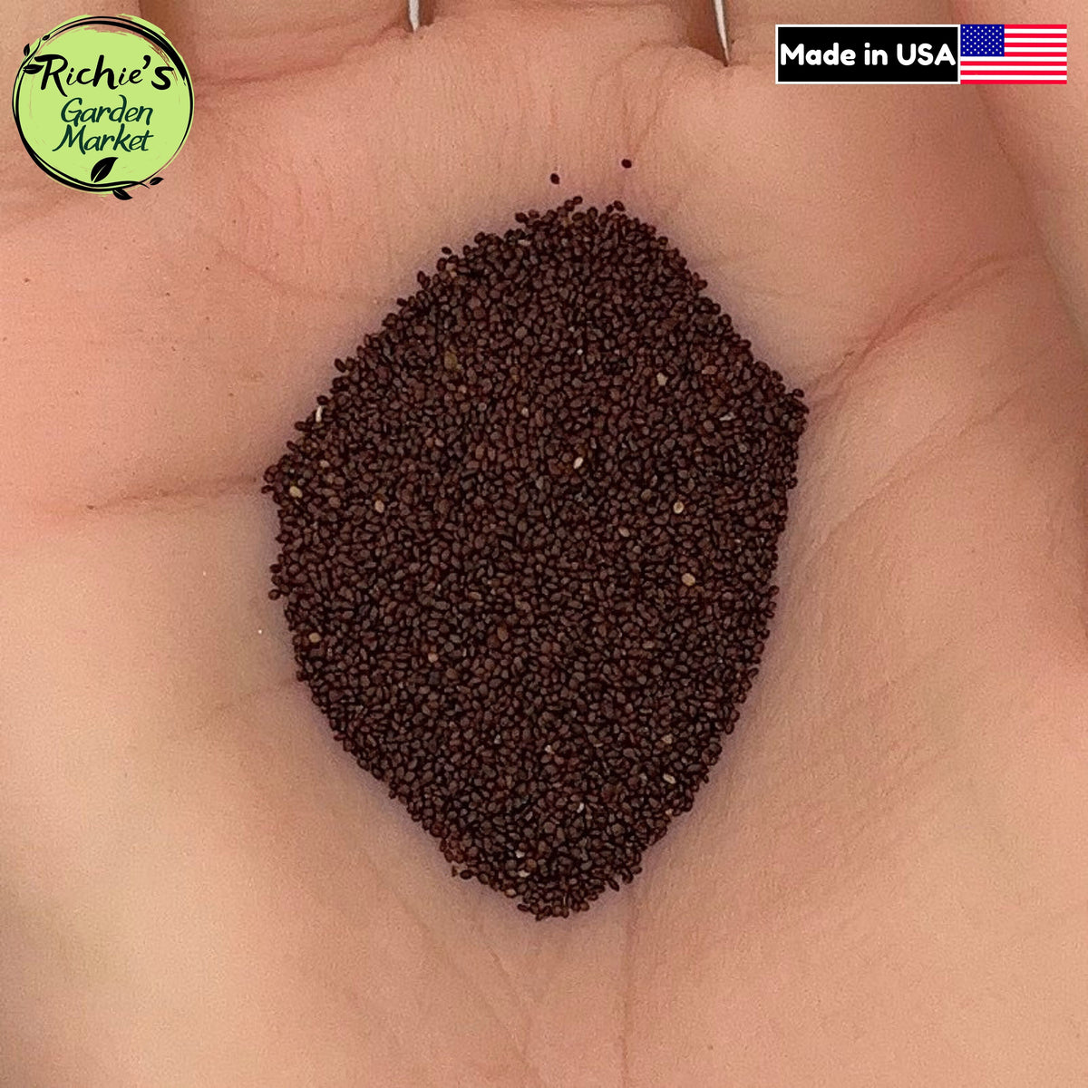 Italian Oregano (Origanum vulgare) Seeds – Non-GMO, Culinary Herb