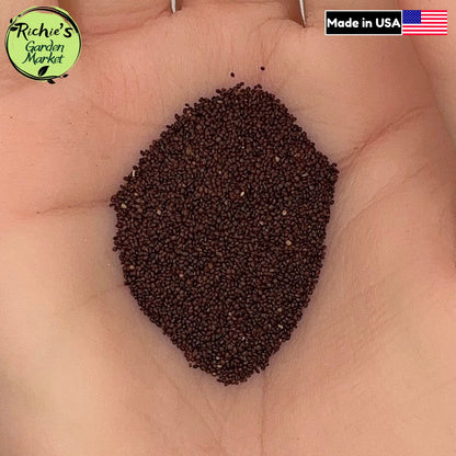 Italian Oregano (Origanum vulgare) Seeds – Non-GMO, Culinary Herb