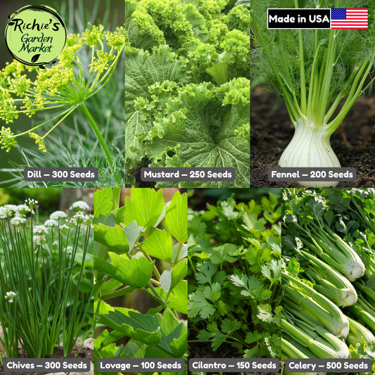Canning & Pickling Herb Seeds Set, Classic 7-Variety, Non-GMO, Fast Growing, Easy to Grow for Planting Indoor & Outdoor Gardening