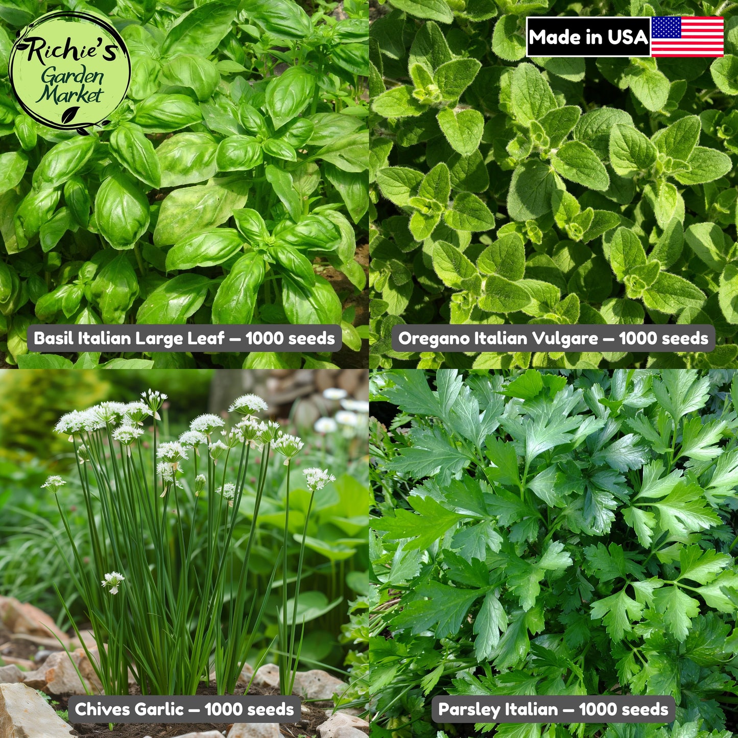Kitchen Herb Basics Set of 4000+ Seeds, Basil, Oregano, Parsley, Chives, Non-GMO, Fast Growing, Easy to Grow for Planting Indoor & Outdoor Gardening