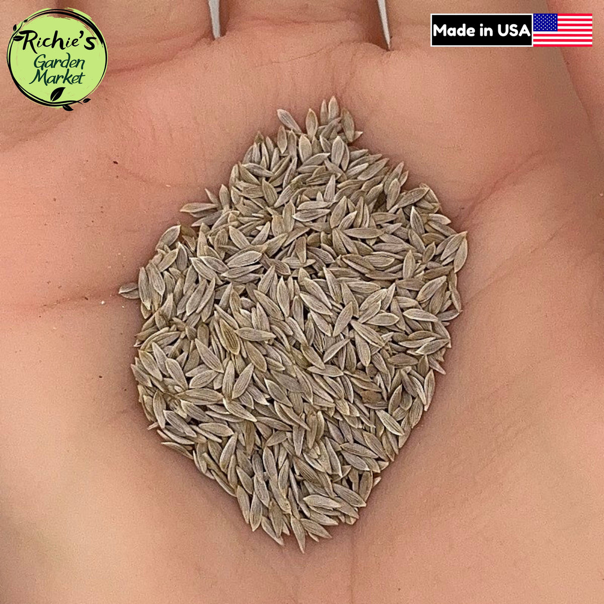 Iceberg Lettuce Seeds – Non-GMO, Crisphead