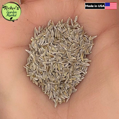 Prizehead Lettuce Seeds – Non-GMO, Sweet & Crisp Ruffled Leaves
