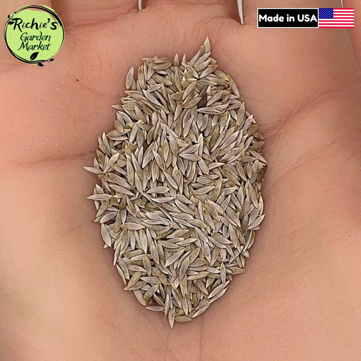Paris Romaine Lettuce Seeds – Non-GMO, Crisp Leaves