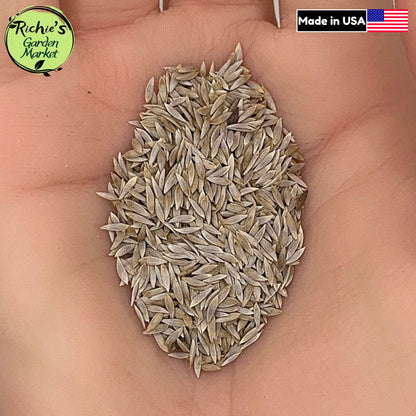 Paris Romaine Lettuce Seeds – Non-GMO, Crisp Leaves
