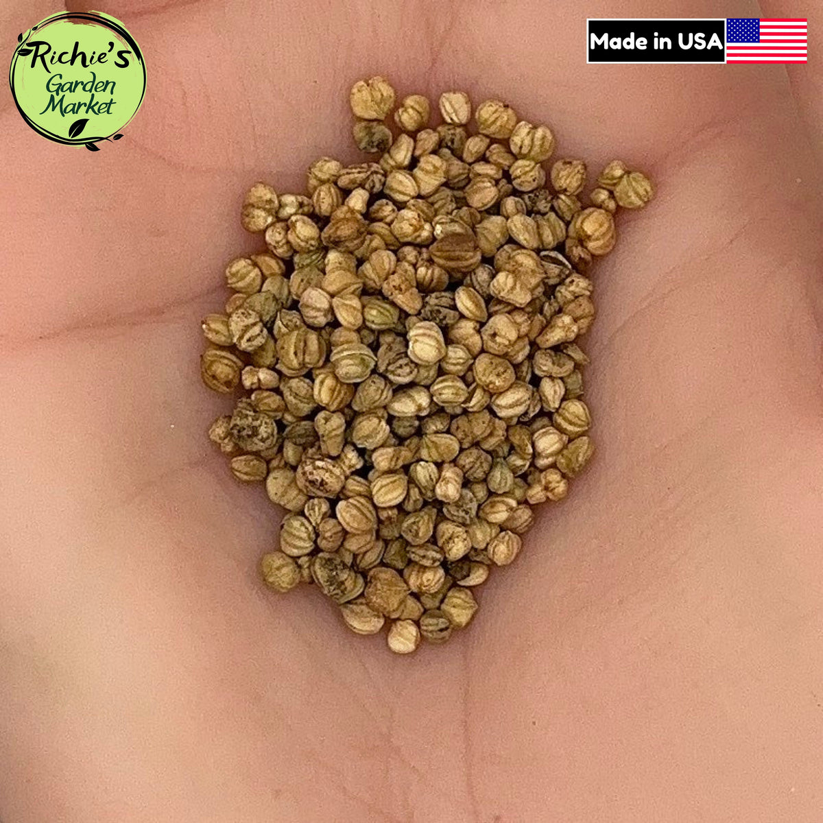 Mache Corn Salad Seeds – Non-GMO, Tender & Cold Hardy