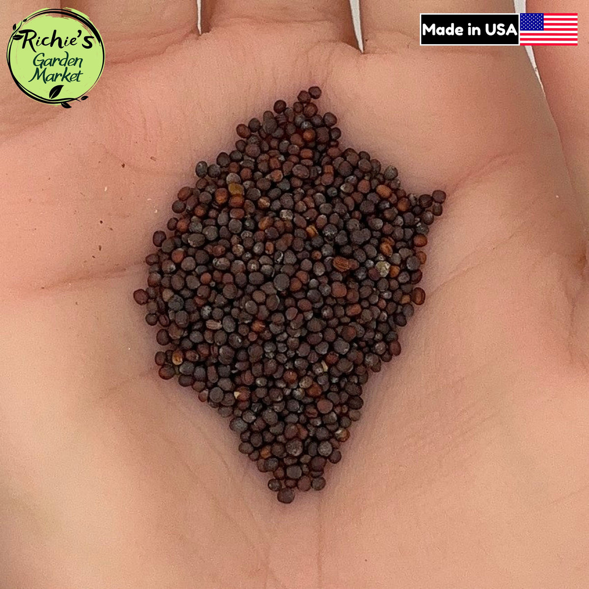Mizuna Mustard Greens Seeds – Non-GMO, Peppery & Fast Growing