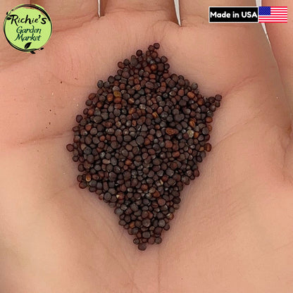 Mizuna Mustard Greens Seeds – Non-GMO, Peppery & Fast Growing