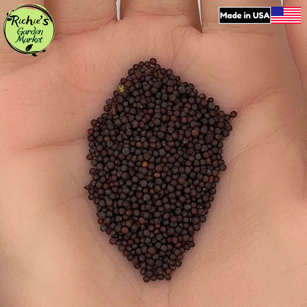 Southern Giant Curled Mustard Greens Seeds – Non-GMO, Fast Growing