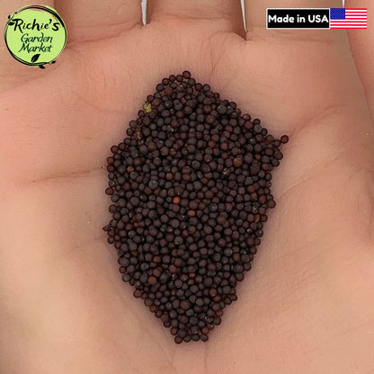Southern Giant Curled Mustard Greens Seeds – Non-GMO, Fast Growing