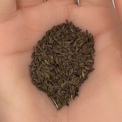 Lettuce Seeds, Buttercrunch Heirloom, Sweet Flavor, Tender Leaves, Non-GMO, Easy to Grow for Planting Indoor & Outdoor Gardening
