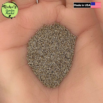 German Chamomile Seeds – Non-GMO, Herbal Tea