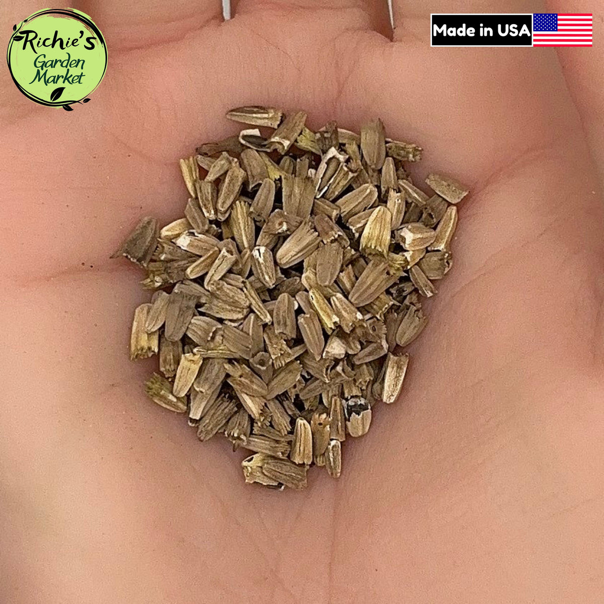 Purple Coneflower (Echinacea) Seeds – Non-GMO, Bee-Friendly
