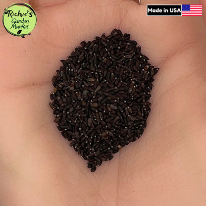 Hyssop Seeds – Non-GMO, Fragrant Perennial Herb
