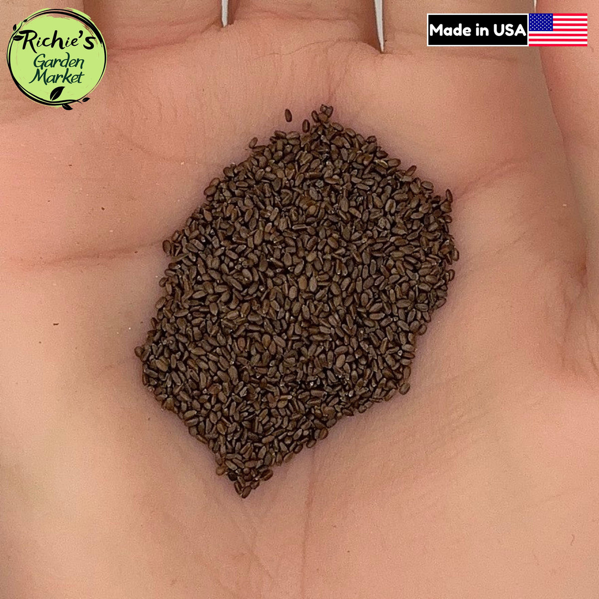 Lemon Mint Seeds – Non-GMO, Herbal Tea & Bee-Friendly