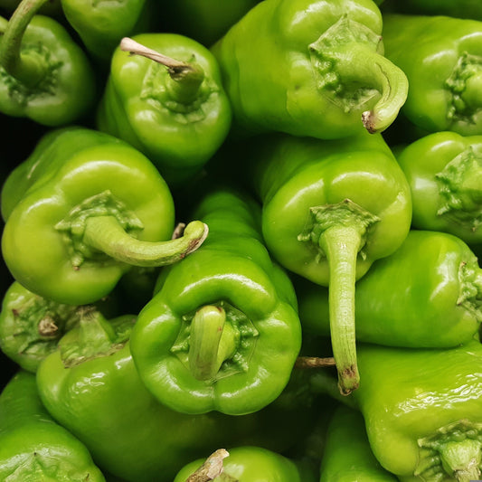 Anaheim Pepper Seeds, Mild Heirloom, Sweet Chili, Stuffing Variety, High Yield, Non-GMO, Fast Growing, Easy to Grow for Planting Indoor & Outdoor Gardening