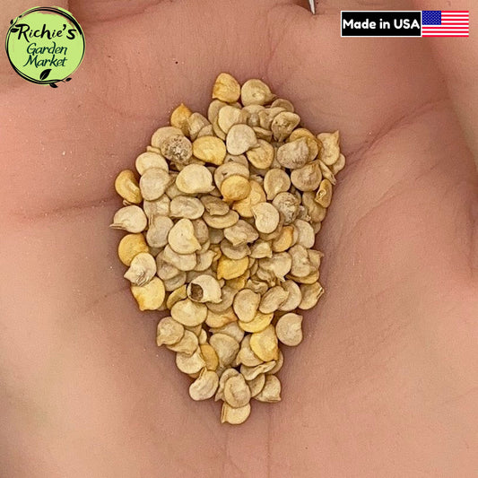Anaheim Pepper Seeds – Non-GMO, Mild Sweet Chili