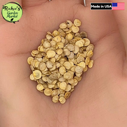 California Wonder Bell Pepper Seeds – Non-GMO, Sweet & High Yield