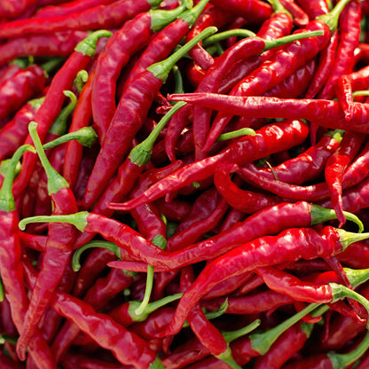 Cayenne Thin Pepper Seeds, Red Hot, Spicy & Productive, Drying Variety, Non-GMO, Fast Growing, Easy to Grow for Planting Indoor & Outdoor Gardening