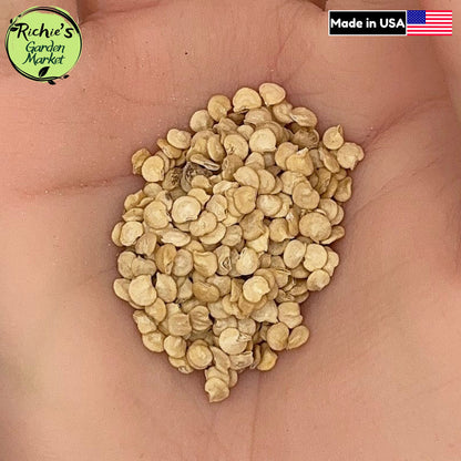 Jalapeno Pepper Seeds – Non-GMO, Medium Heat
