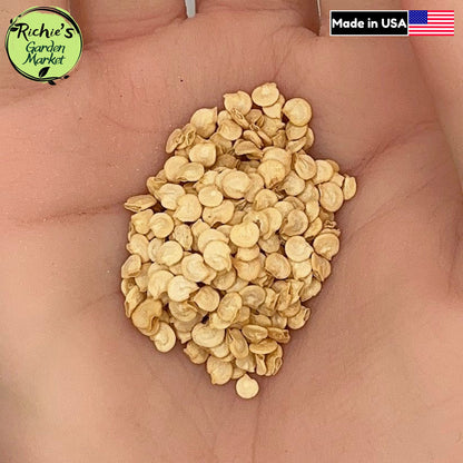 Lilac Bell Pepper Seeds – Non-GMO, Sweet & Purple