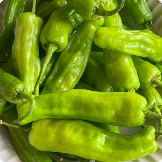 Pepperoncini Pepper Seeds, Italian Heirloom, Mild Heat, Non-GMO, Fast Growing, Easy to Grow for Planting Indoor & Outdoor Gardening