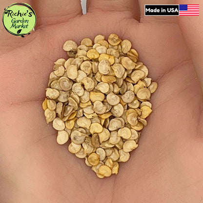 Poblano Ancho Pepper Seeds – Non-GMO, Mild Heat