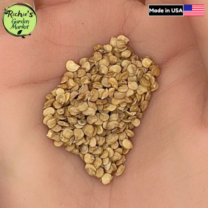 Serrano Pepper Seeds – Non-GMO, High Yield