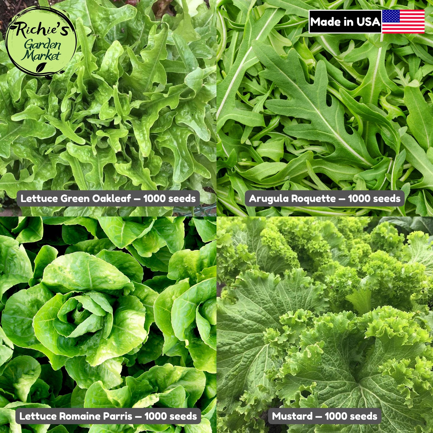 Salad Greens Starter Set of 4000+ Seeds, Arugula, Oakleaf, Romaine, Mustard, Non-GMO, Fast Growing, Easy to Grow for Planting Indoor & Outdoor Gardening