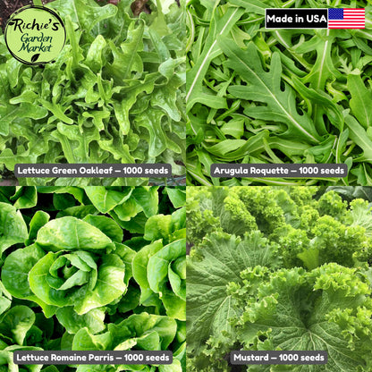 Salad Greens Starter Set of 4000+ Seeds, Arugula, Oakleaf, Romaine, Mustard, Non-GMO, Fast Growing, Easy to Grow for Planting Indoor & Outdoor Gardening