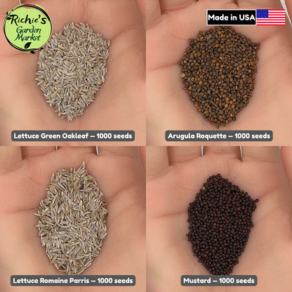 Salad Greens Starter Set of 4000+ Seeds, Arugula, Oakleaf, Romaine, Mustard, Non-GMO, Fast Growing, Easy to Grow for Planting Indoor & Outdoor Gardening