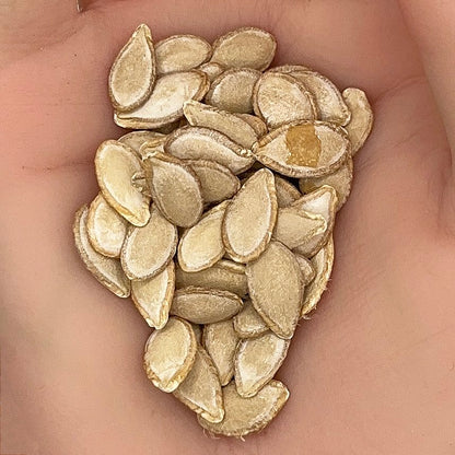 Squash Butternut Seeds, Heirloom, Sweet & Nutty Flavor, Non-GMO, Fast Growing, Easy to Grow for Planting Indoor & Outdoor Gardening