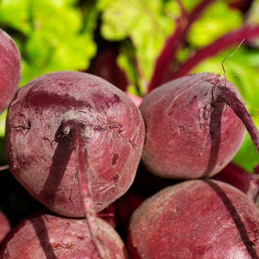 Beet Detroit Dark Red Seeds, Sweet Roots, Nutritious, Non-GMO, Fast Growing, Easy to Grow for Planting Indoor & Outdoor Gardening
